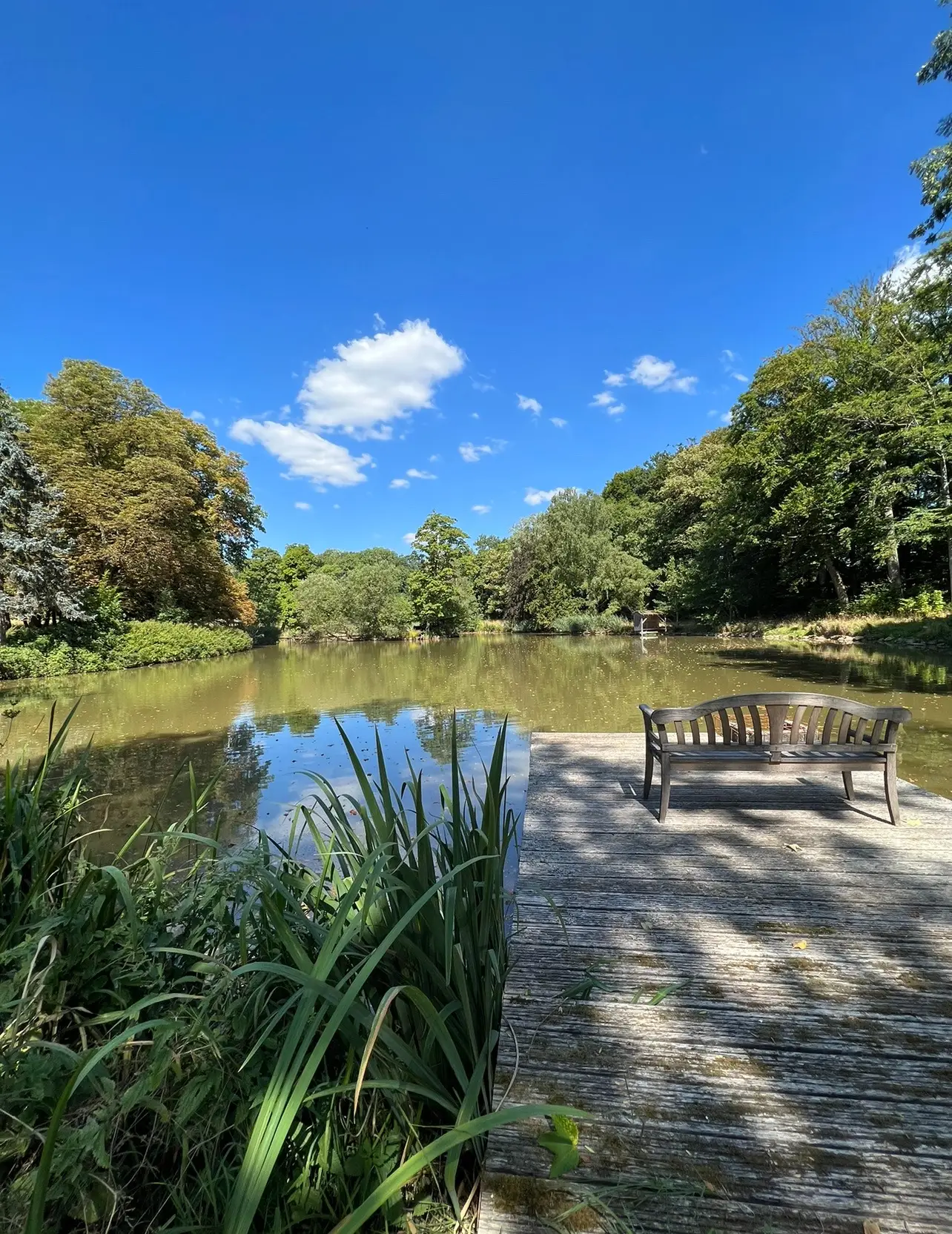 Holzsteg mit Bank am Ufer des Schlosssees